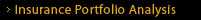 Insurance Portfolio Analysis