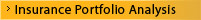 Insurance Portfolio Analysis